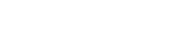 Medical Device Regulation (MDR): The Umbrella Framework